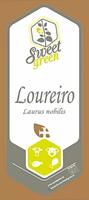 Loureiro - Laurus nobilis, emb.10g