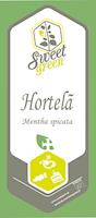 Hortelã - mentha spicata, emb.10g