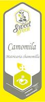 Camomila - matricaria chamomilla, em vaso