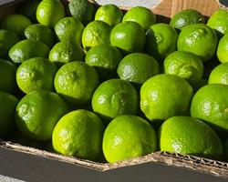Limas Tahiti