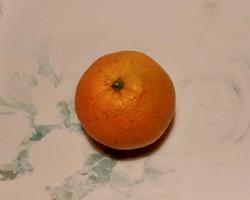 Laranja Navel - biológica