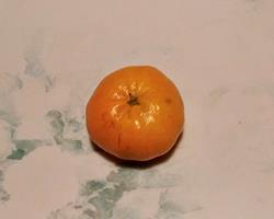 Tangerina Setubalense - biológica