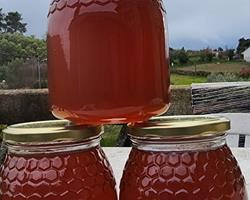 Mel multifloral néctar das flores