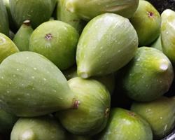 Figos frescos biológicos