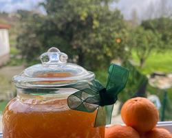 Compota de Tangerina