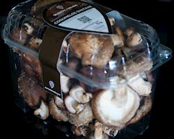 Cogumelos Shitake 5Kg | 10 Caixas de 500g