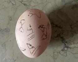 Ovos de galinha Pedrês Portuguesa (clonado)