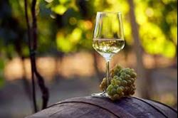 Vinho caseiro - Branco