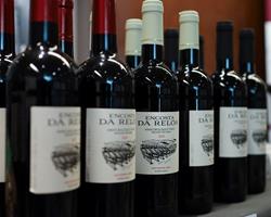 Vinho Biológico Tinto 2023                                                            Cabernet Sauvignon 100%