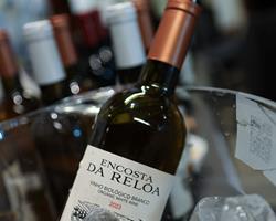 Vinho Biológico Branco 2023