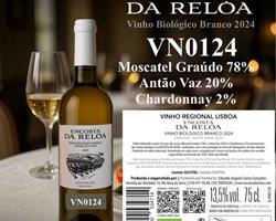 Vinho Biológico Branco 2024