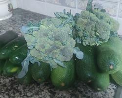 Brócolos