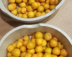 Ameixas amarelas