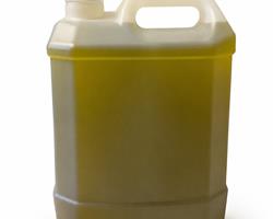Azeite Virgem Extra - 5 litros - 2025