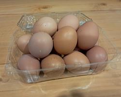 Ovos Biológicos