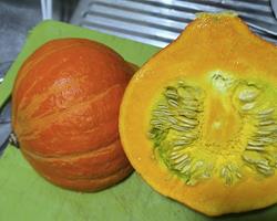 Abóboras Hokkaido Bio