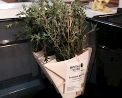 Tomilho Bela Luz Bio, emb. 30g