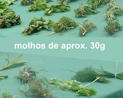 Erva-cidreira Bio, molhos de 30g