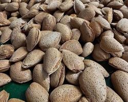 Amêndoa Casca Rija Biológica