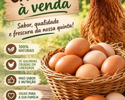 Ovos caseiros