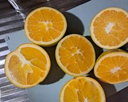 Laranjas Frescas da Quinta do Moinho – Gondomar