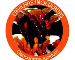 Cavilhas inoculadas de Cogumelo  BIO Ganoderma lucidum