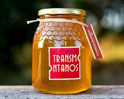 Mel de Rosmaninho, Emb.1Kg