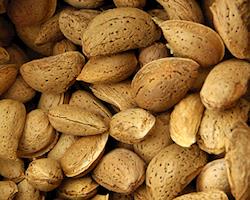 Amêndoa de Trás-os-Montes, c/ casca