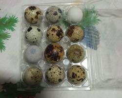 Ovos de codorniz - emb. 12 ovos
