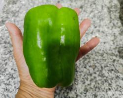 Pimento verde