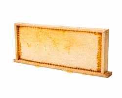 Quadro inteiro de Favo de Mel (2 kg)
