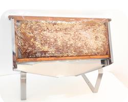 Suporte Inóx para quadro inteiro de favo de mel