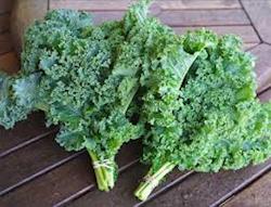 Couve Crespa (Kale)