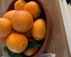Laranjas e tangerinas
