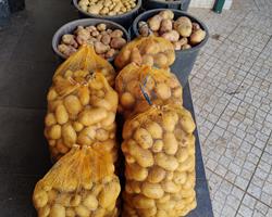 Batatas Novas
