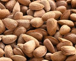 Amêndoa c/ casca (9Kg c/ despacho DHL) [2025]