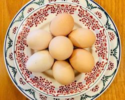 Ovos de galinhas de ar livre