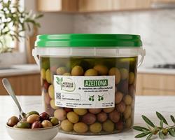 Azeitona de conserva (balde de 1500g)