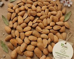 Amêndoa moderna com casca (saco 10kg)