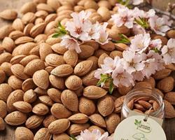 Amêndoa tradicional com casca