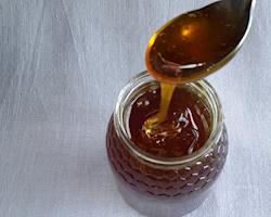 Mel (embalagem de 500g)