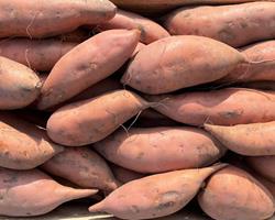 Batata doce laranja