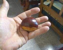 Castanha classe A