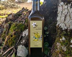 Azeite virgem extra Colheita 2025