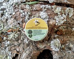 Bálsamo labial de Calêndula e Tanchagem