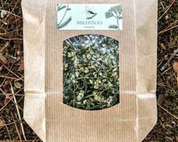 Erva simples - Milefólio