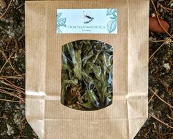 Erva simples - Hortelã-Mourisca