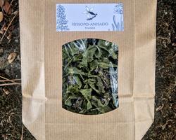 Erva simples - Hissopo Anisado