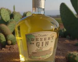 GIN de Figo-da-Índia