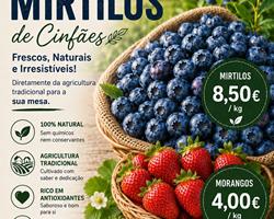 Mirtilos